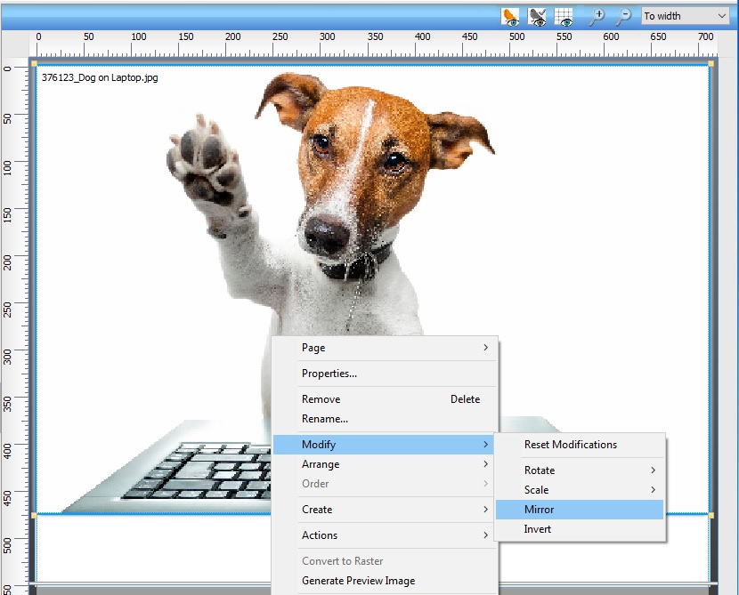 How to Mirror an image in Digital Factory.