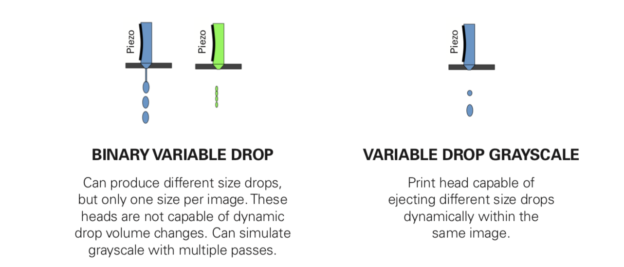 The Benefits of Grayscale